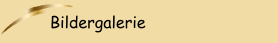 Bildergalerie